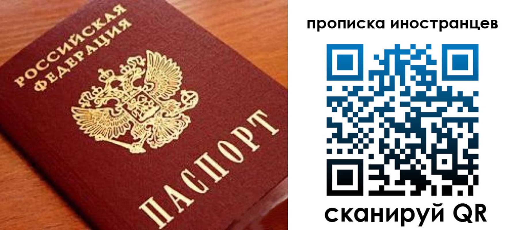прописка законно в Ермолино